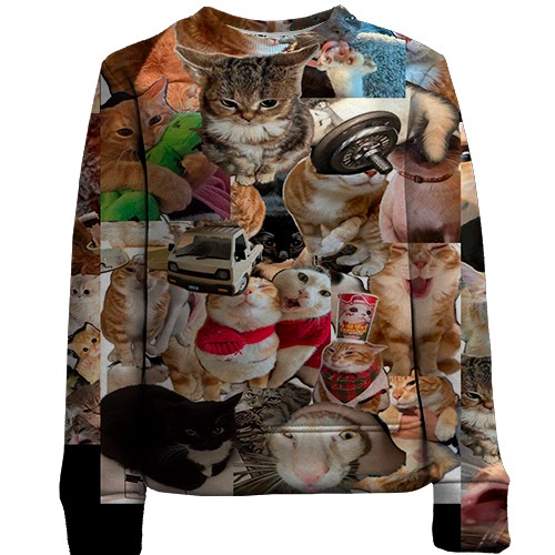 Детский 3D свитшот Мемные коты (вид спереди)