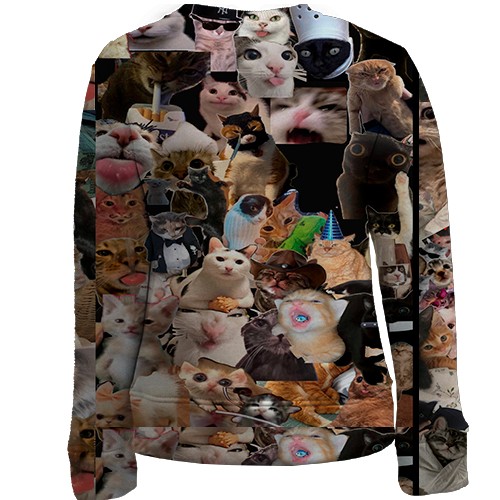 Детский 3D свитшот Мемные коты (вид сзади)