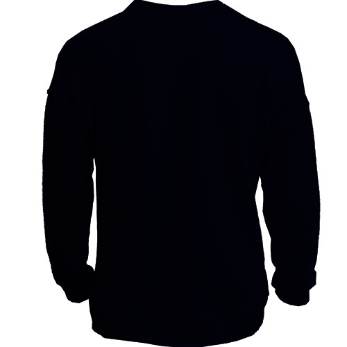 3D свитшот с лошадью 2026 (вид сзади)