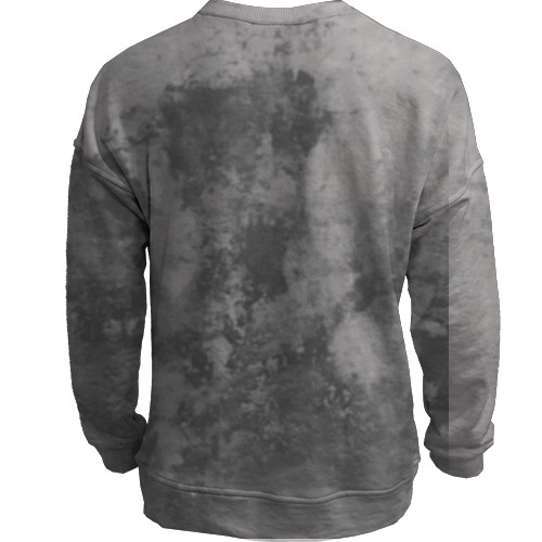 3D світшот з пандою (вид ззаду)