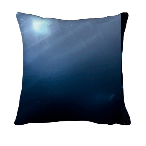 3D подушка PoE - Secrets of the Atlas (вид сзади)