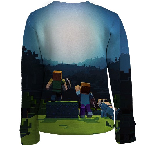Детский 3D свитшот Minecraft Anniversary (вид сзади)