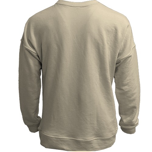 3D свитшот Spy x Family (вид сзади)