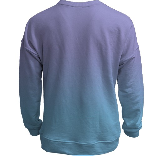 3D свитшот Spyro the Dragon (вид сзади)