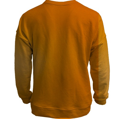 3D світшот Cat Quest heroes (вид ззаду)