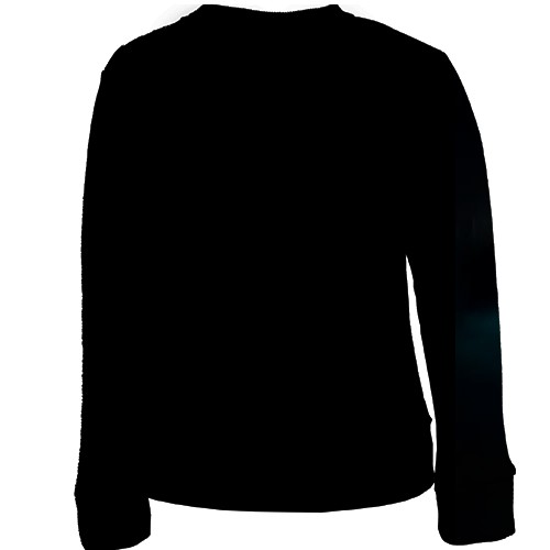 Дитячий 3D світшот Сходження Героя Щита (вид ззаду)