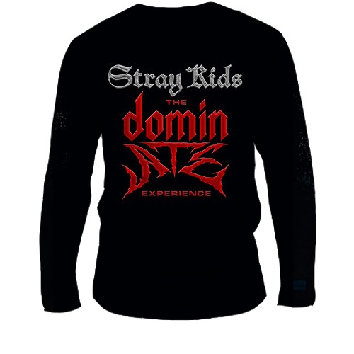 Чоловічий 3D лонгслів Stray Kids - The dominATE experience (вид ззаду)
