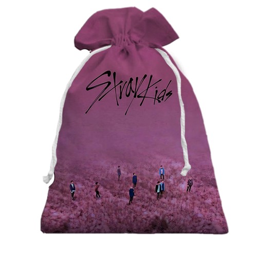 3D Подарунковий мішечок Stray Kids (рожеве поле) (вид спереду)