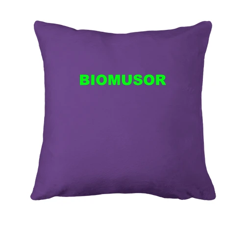 Подушка з написом "Biomusor"