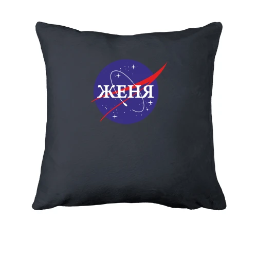 Подушка, Серый, Женя (NASA Style)