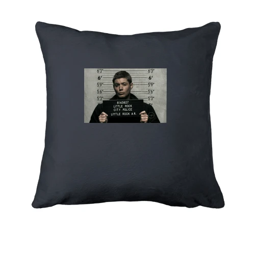 Подушка, Серый, Dean arrest