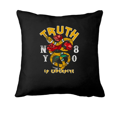 Подушка Truth is expensive