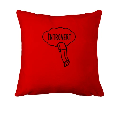Подушка "Introvert"