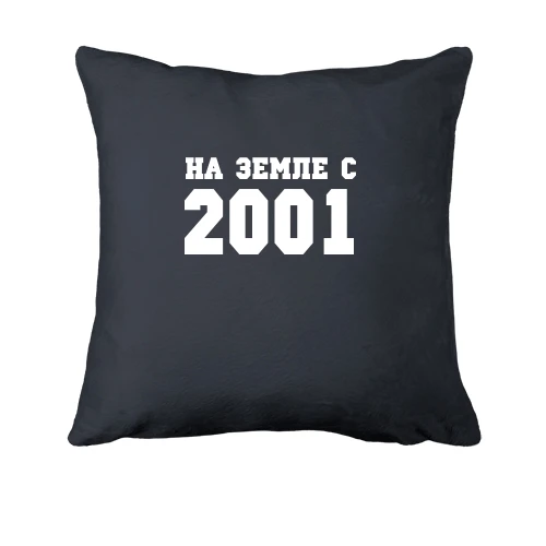 Подушка, Серый, На земле с 2001