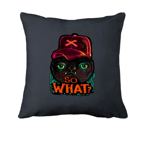 Подушка, Сірий, з котом So what?