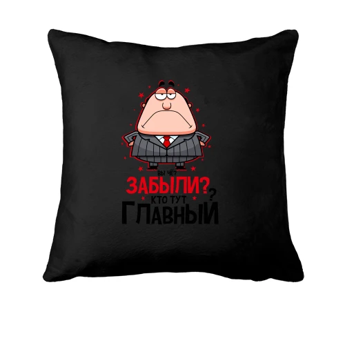Подушка Вы че? Забыли? Кто тут главный?