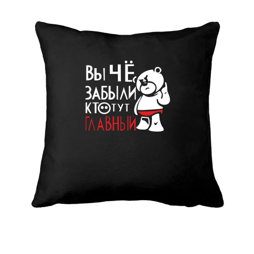 Подушка Ви що, забули хто тут головний