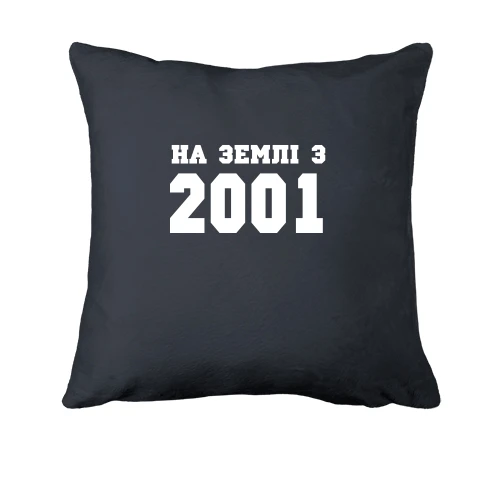 Подушка, Сірий, На землі з 2001