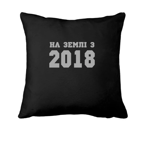 Подушка На землі з 2018