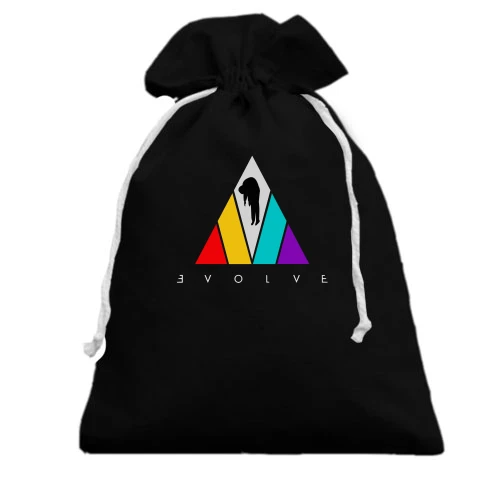 Подарочный мешочек Imagine Dragons Envolve (2)