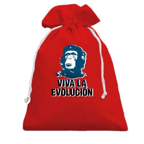 Подарунковий мішечок, Червоний, з надписью "Viva la Evolution"