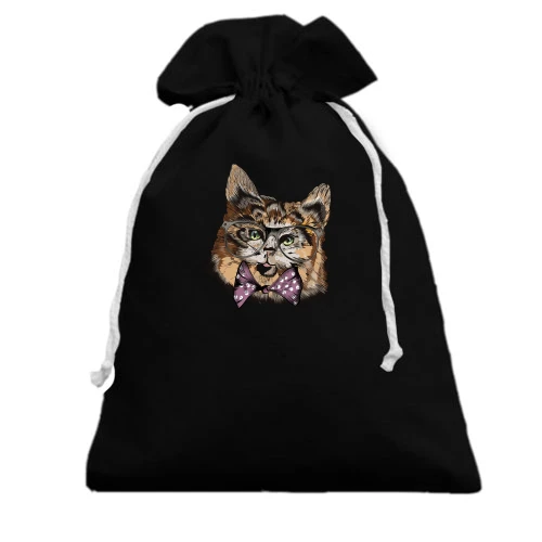 Подарочный мешочек Cat Hipster Mind