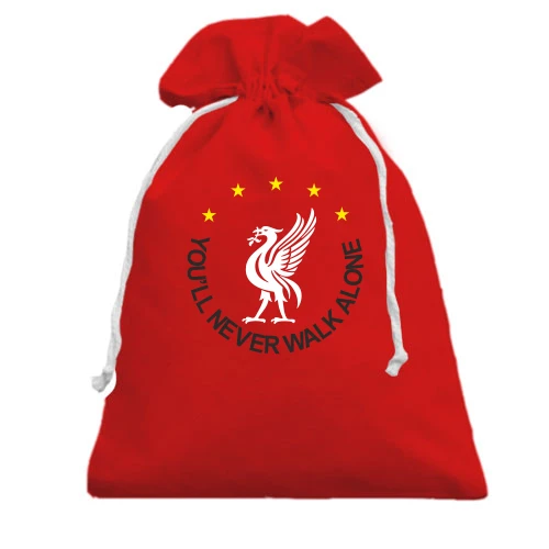 Подарунковий мішечок із п'ятьма зірками, силуетом птаха та написом «YOU'LL NEVER WALK ALONE»