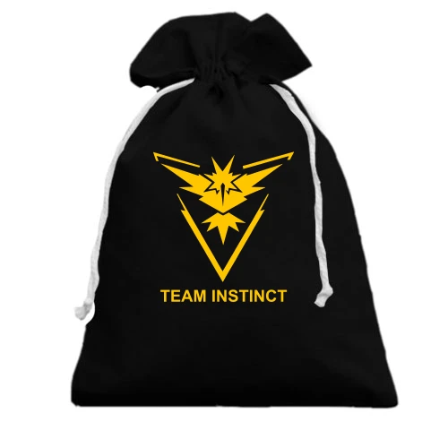 Подарочный мешочек Pokemon Go Team Instinct