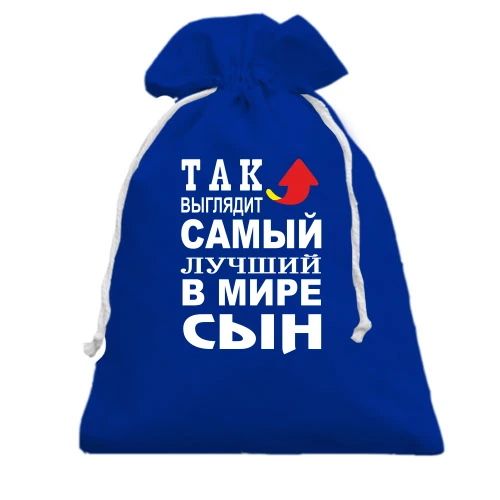 Подарочный мешочек, голубой, Так выглядит лучший в мире сын (2)
