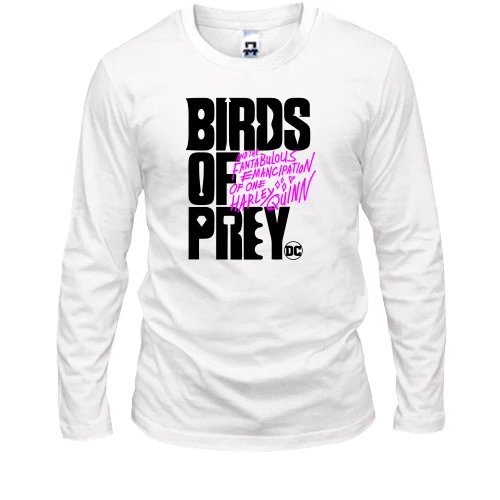 Чоловічий лонгслів Birds of Prey DC