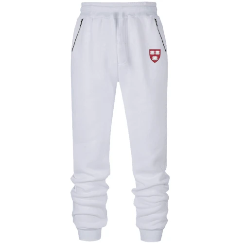Мужские трикотажные штаны Harvard logo mini