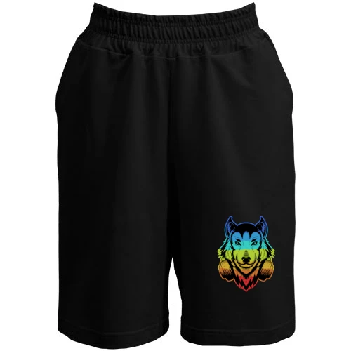 Мужские шорты, Черный, Rainbow Wolf