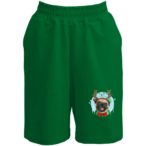 Мужские шорты, Зеленый, "Мопс с новогодними рогами"