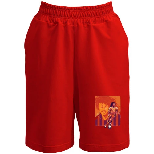 Мужские шорты Ruud Gullit