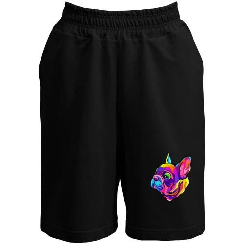 Жіночі шорти Dog multicolor art