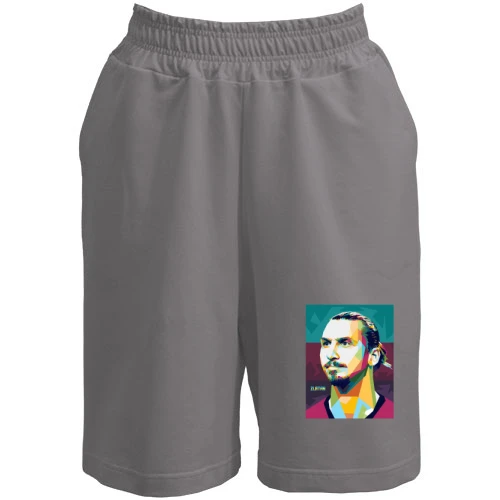 Женские шорты, серый, с Zlatan Ibrahimović (Златан Ибрагимович)
