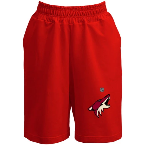 Женские  шорты Phoenix Coyotes