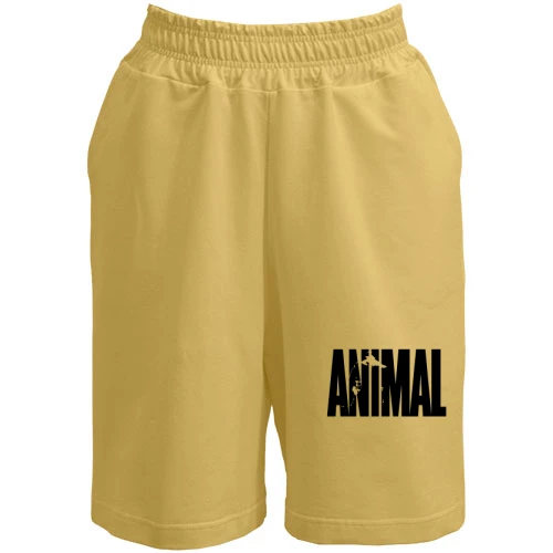 Женские шорты Animal Pac