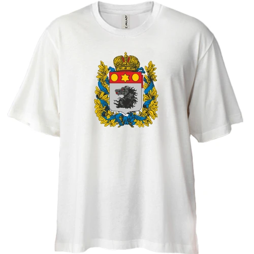 Футболка двунитка Oversize, Белый, Старый герб Харькова