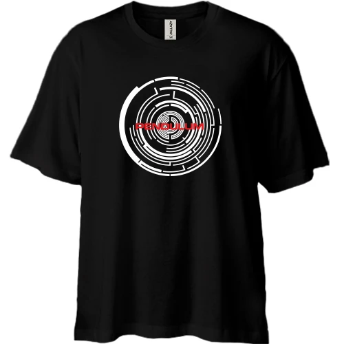 Футболка двунитка Oversize Pendulum
