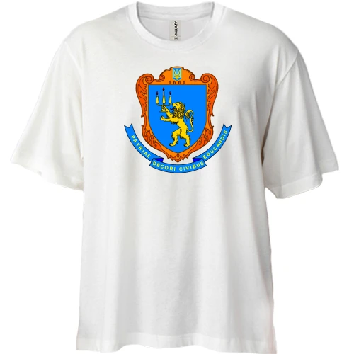 Футболка двунитка Oversize Львовский университет (2)