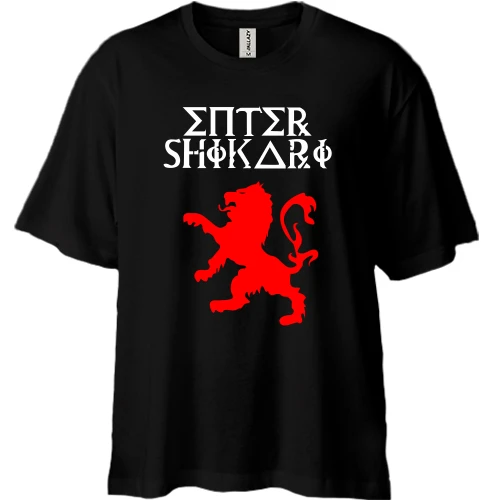 Футболка двунитка Oversize Enter Shikari 5