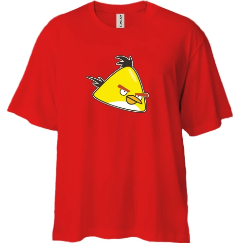 Футболка двунитка Oversize Yellow bird 2