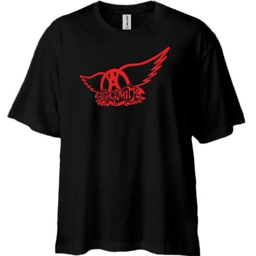 Футболка двонитка Oversize, Чорний, Aerosmith 2