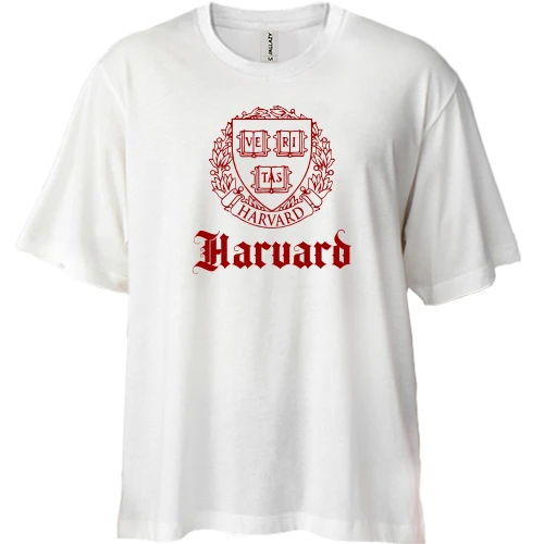 Футболка двунитка Oversize Harvard