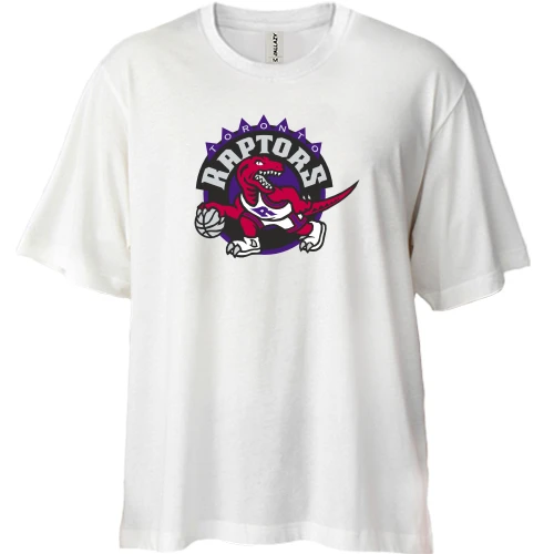 Футболка двонитка Oversize, Синій, Toronto Raptors