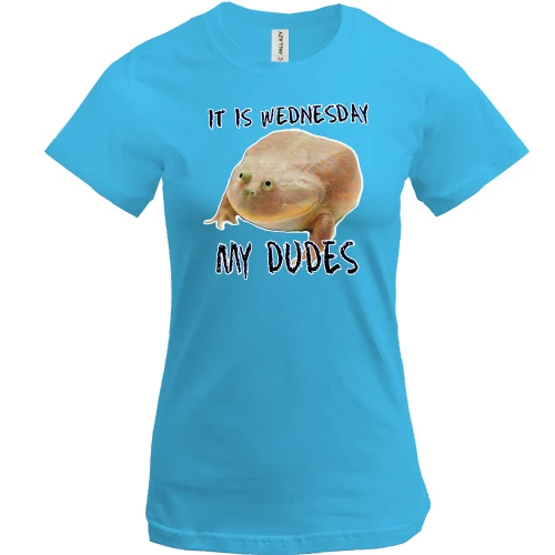 Женская футболка, синий, It is wednesday, my dudes