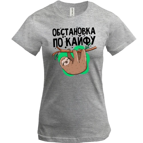 Жіноча футболка, Сірий меланж, Обстановка по кайфу