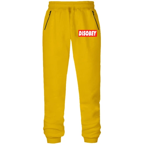 Женские штаны на флисе Disobey