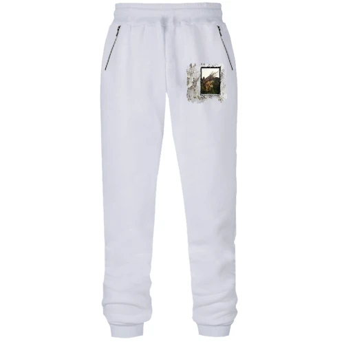 Жіночі трикотажні штани Led Zeppelin IV